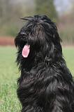 BRIARD 253